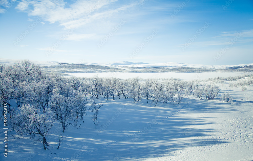 A beautiful white landscape of a snowy Norwegian winter day with skiing tracks A beautiful white landscape of a snowy Norwegian winter day with skiing tracks