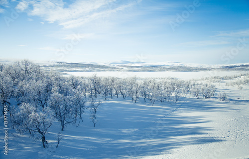 A beautiful white landscape of a snowy Norwegian winter day with skiing tracks