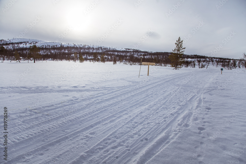 A beautiful white landscape of a snowy Norwegian winter day with tracks for snowmobile or dog sled A beautiful white landscape of a snowy Norwegian winter day with tracks for snowmobile or dog sled
