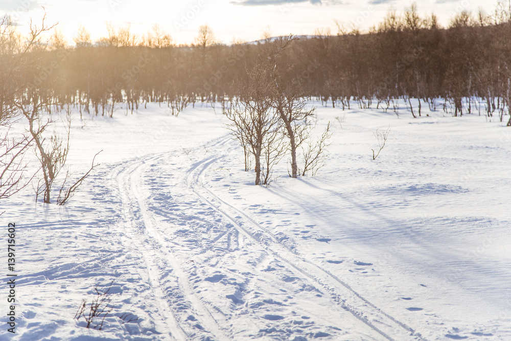 A beautiful white landscape of a snowy Norwegian winter day with tracks for snowmobile or dog sled A beautiful white landscape of a snowy Norwegian winter day with tracks for snowmobile or dog sled