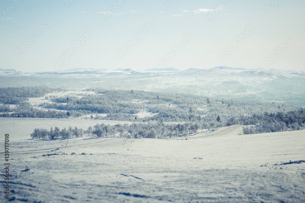 A beautiful white landscape of a snowy Norwegian winter day