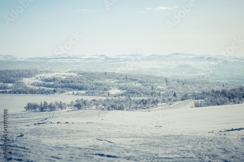 A beautiful white landscape of a snowy Norwegian winter day