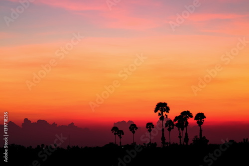 Silhouettes sunset on field at tropical countryside of Thailand.