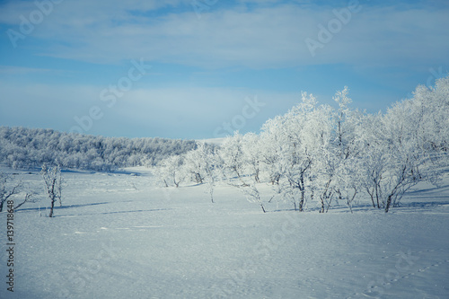 A beautiful white landscape of a snowy Norwegian winter day