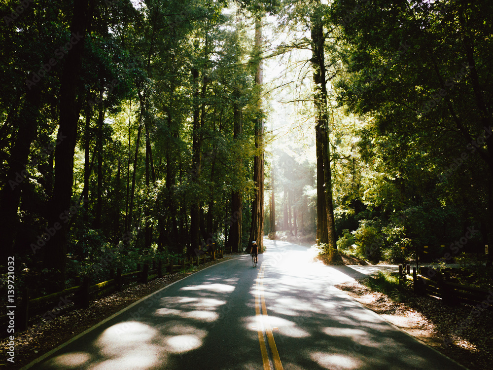Young professional female cyclist riding in the sunset light beams in big basin park Young professional female cyclist riding in the sunset light beams in big basin park