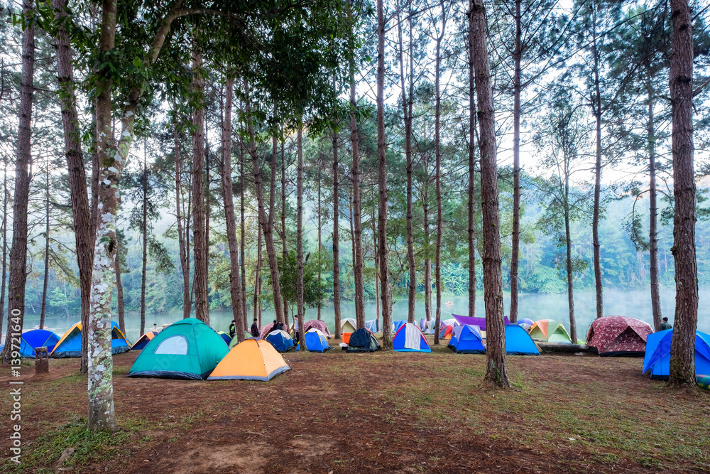 Tourist tent camping in pine forest on reservoir in morning