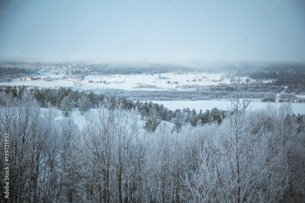 A beautiful forest landscape of a snowy Norwegian winter day