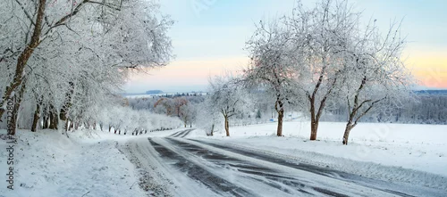 Obraz Zimowy pejzaż z zaśnieżoną drogą i mroźnymi drzewami