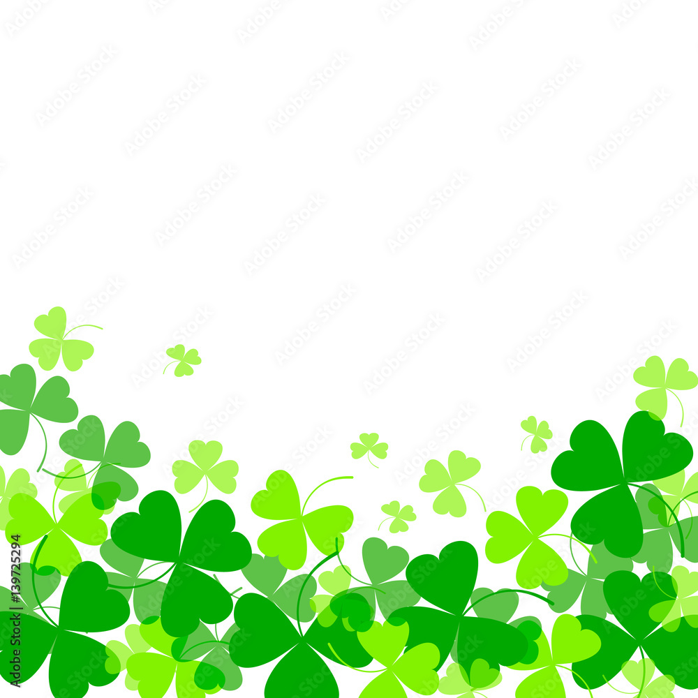 Vector illustration of clover leaves on white. St Patrick's Day background