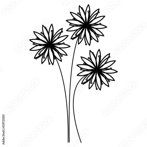 figure flowers with pointed petals icon  vector illustraction design