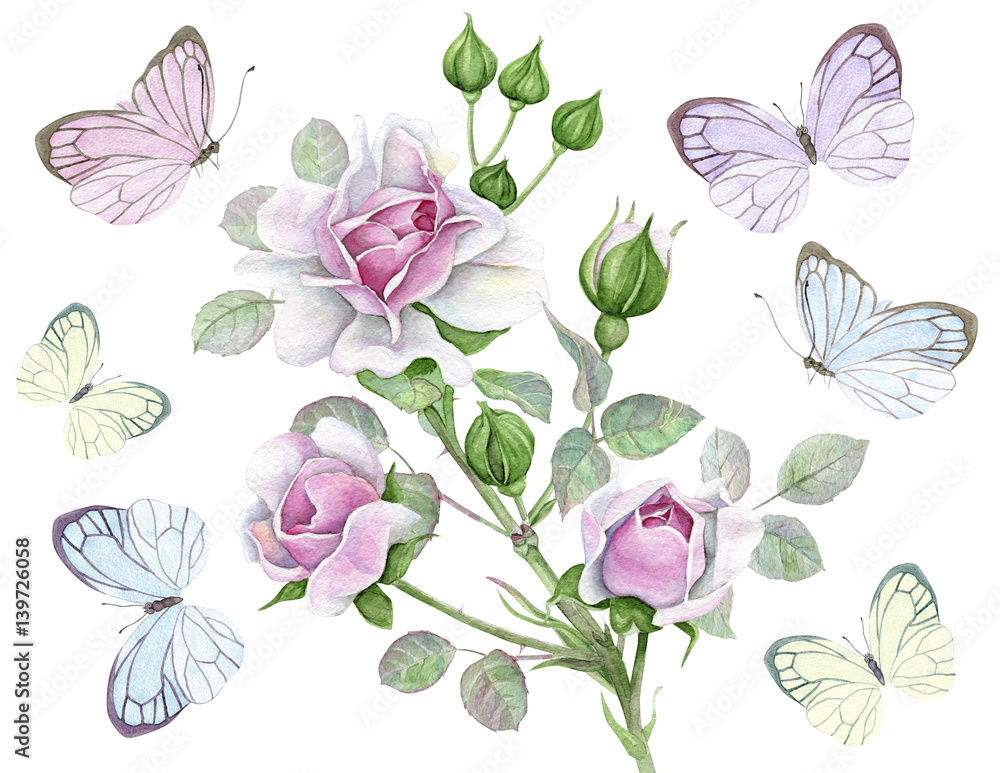 Watercolor pink roses and butterflies

