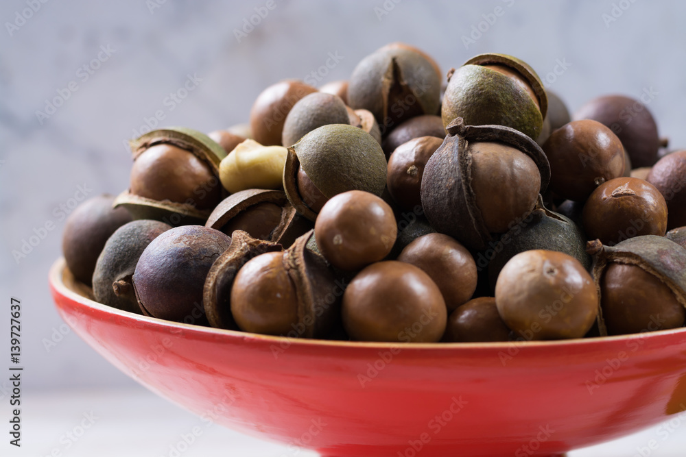 Obraz premium Macadamia nuts harvest close up