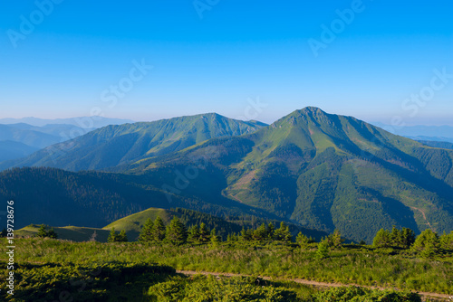 Mountain tops covered with green grass  in the blue haze