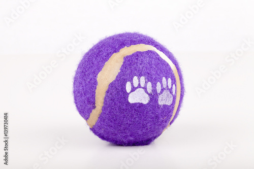 Dog toy isolated on a white background.