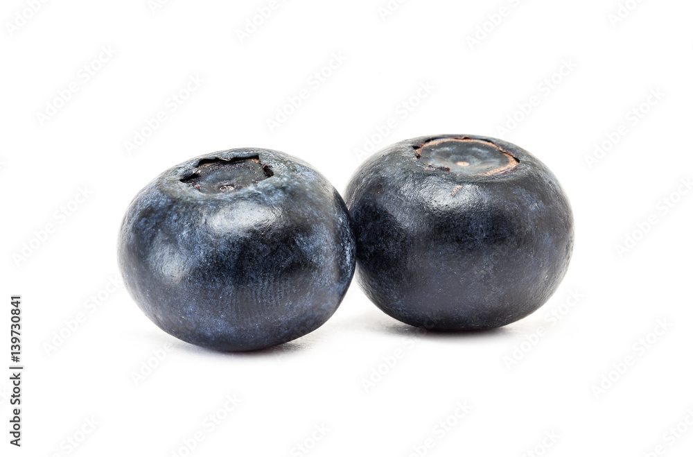 blueberry fruit isolated on white background blueberry fruit isolated on white background