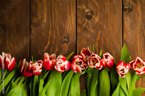 A bouquet of tulips on a tree. Beautiful tulips on wooden boards. Red-white tulips on wooden boards.