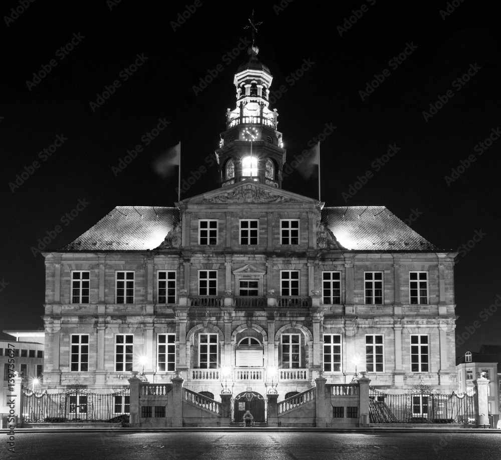 Night vision at city hall Maastricht, Netherlands