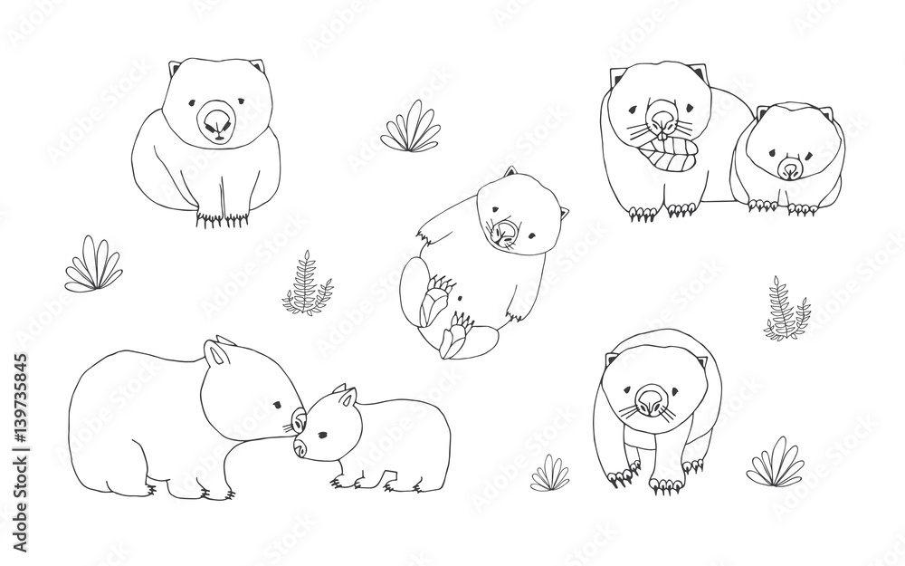 Set of cute young wombat in various poses. Adult animal with cub. Hand drawn contour vector illustration. Set of cute young wombat in various poses. Adult animal with cub. Hand drawn contour vector illustration.