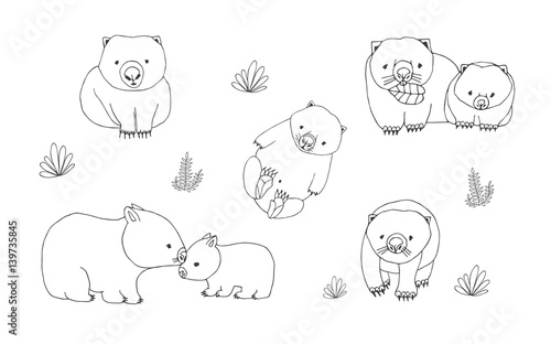Set of cute young wombat in various poses. Adult animal with cub. Hand drawn contour vector illustration.