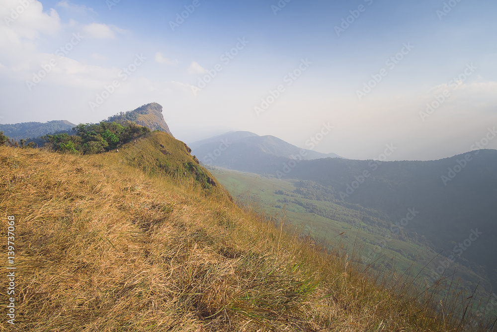 Mon Jong mountain top with golden grass And blue skies