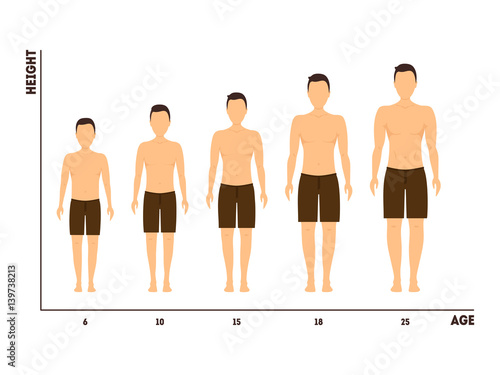 Height and Age Measurement of Growth from Boy to Man. Vector