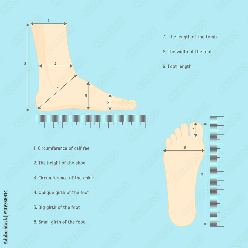 Amazon.com: SOLUSTRE Shoe Sizer Shoe Size Measurer Foot Measurement Mat  Foot Size Measuring Device Shoe Measuring Device Ruler Food Gauge Kid Foot  Gauge Baby Tools Foot Shoes Child Extended Section Abs :