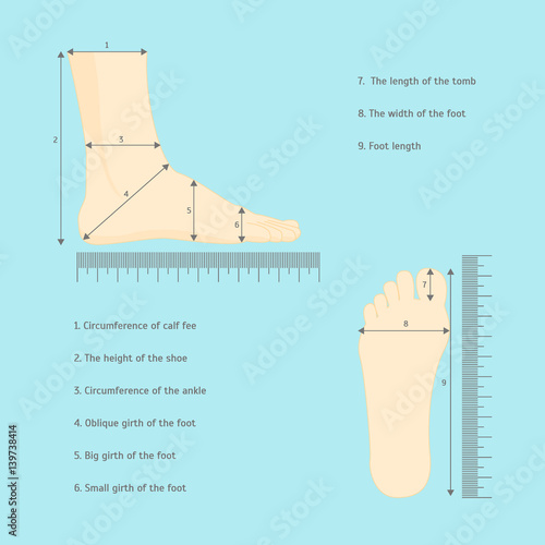 Square Measure Human Feet Shoe Size. Vector