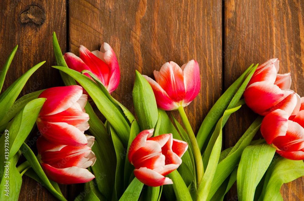 A bouquet of tulips on a tree. Beautiful tulips on wooden boards. Red-white tulips on wooden boards.