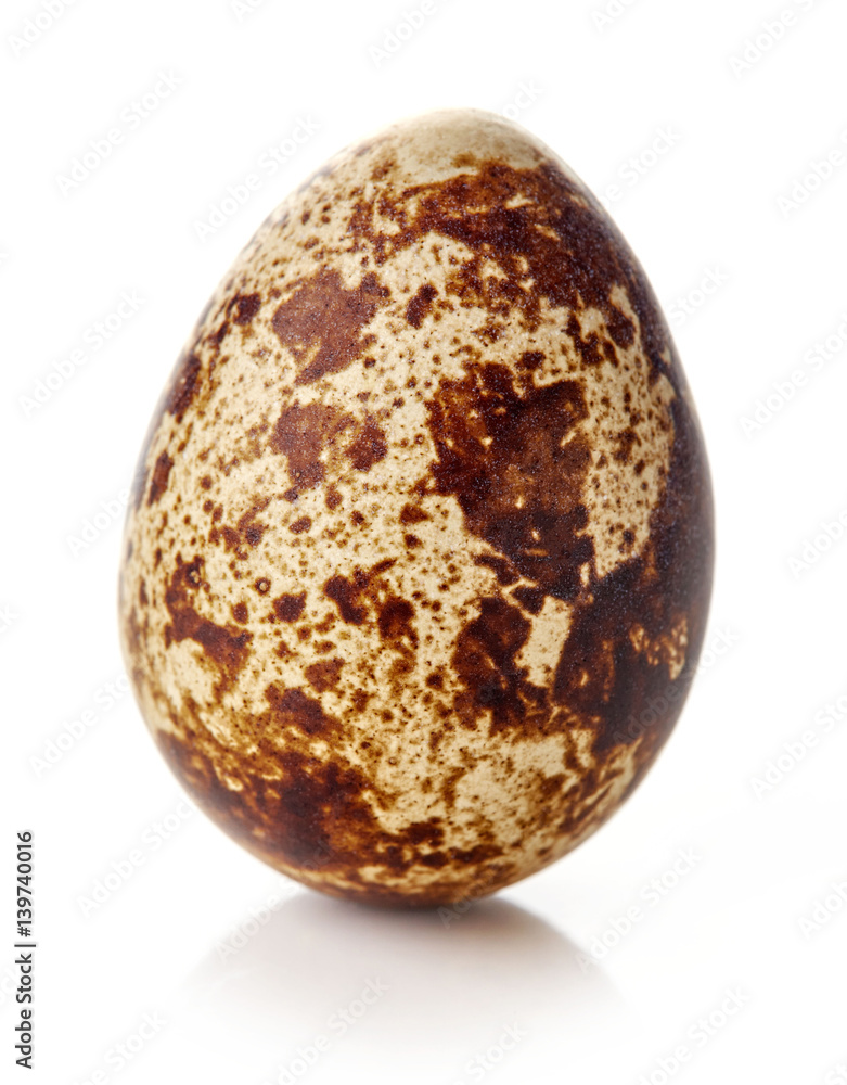 Quail egg isolated on white Quail egg isolated on white