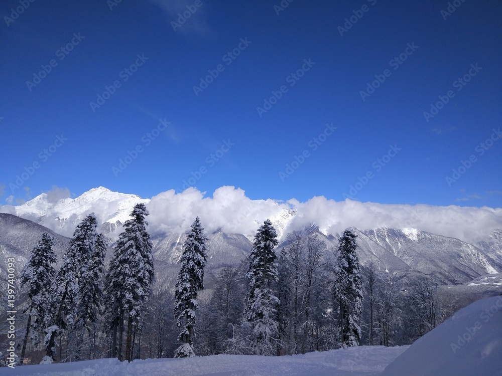 Fototapeta premium Caucasus Mountain