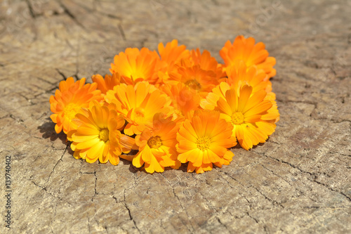 Photos bouquet of calendula (Calendula officinalis L