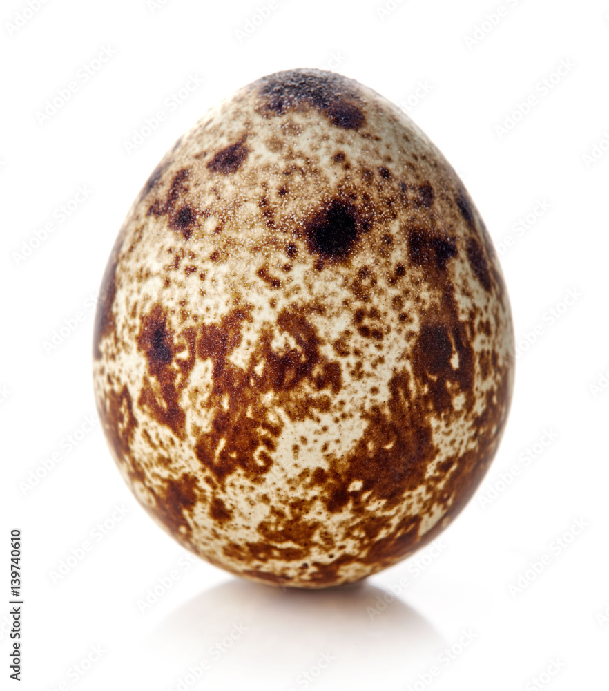 Quail egg isolated on white Quail egg isolated on white