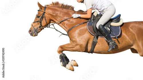 Equestrian sport: horse jumping over an obstacle.