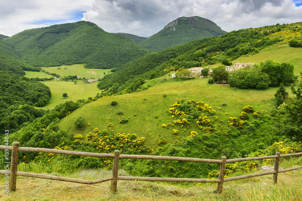 Typical landscape in Marche