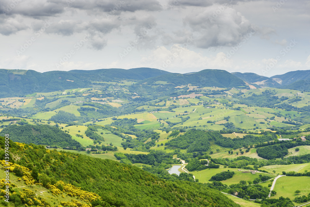 Typical landscape in Marche