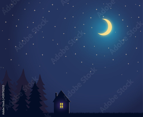 House and tree and night sky with stars and moon