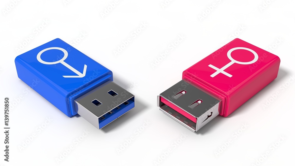 3d illustration of simple usb stick with gender symbols. 3d illustration of simple usb stick with gender symbols.