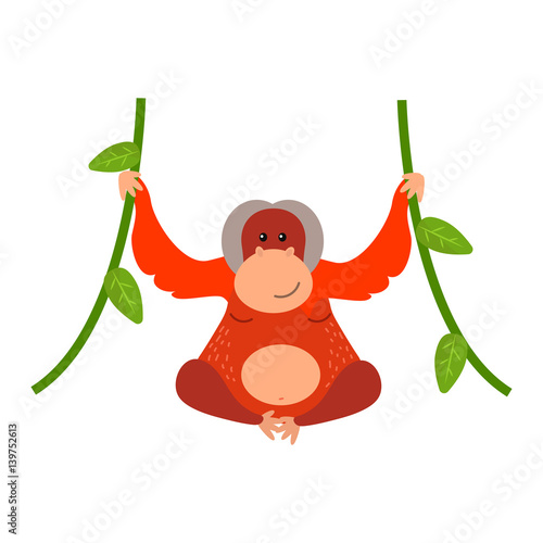 Macaque monkey rare animal vector.