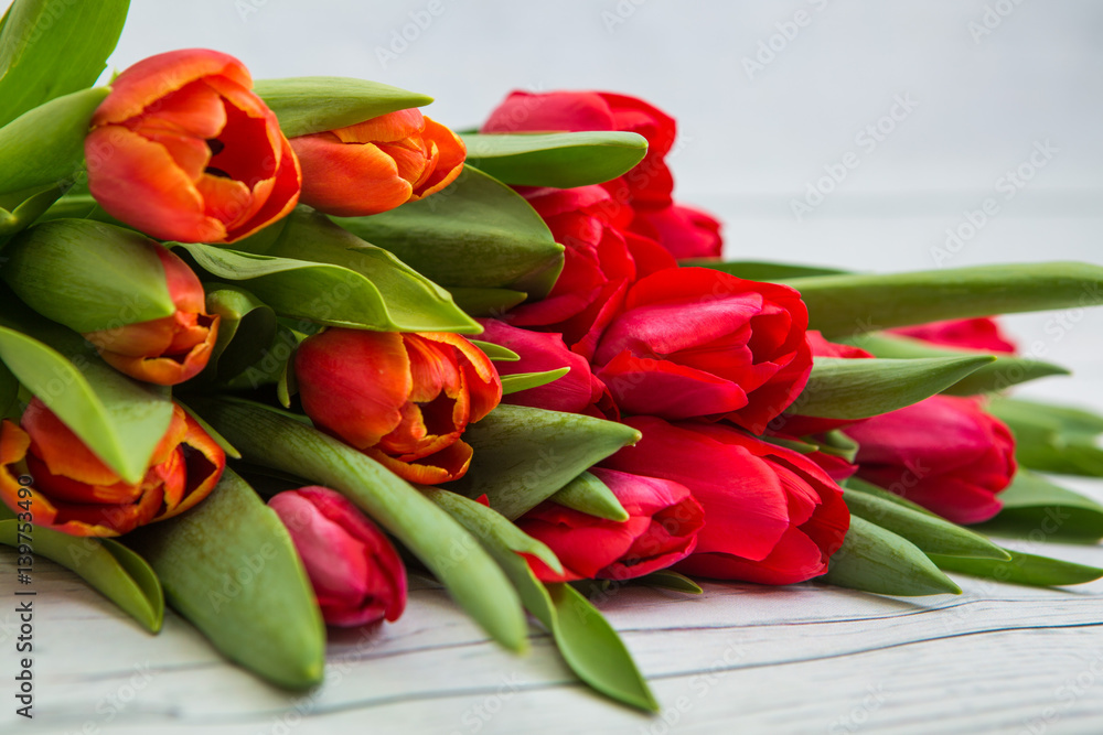 Tulips Tulips