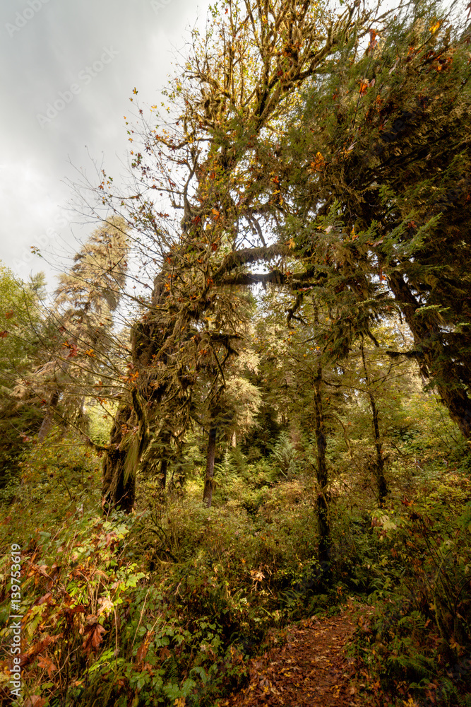 Olympic National Park, Washington Olympic National Park, Washington