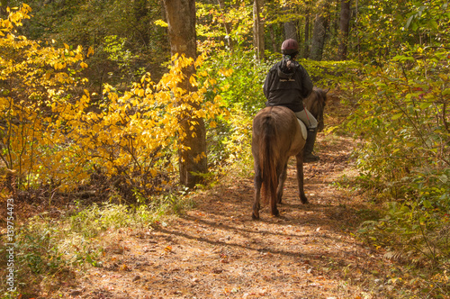 Autumn Horse Back Riding on Trail