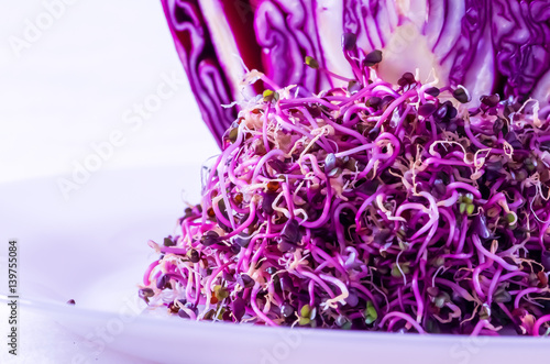 Food, healthy eating, red cabbage sprouts.
