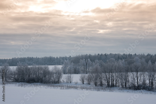 photo of winter landscape with hills and trees on the background of blue sky