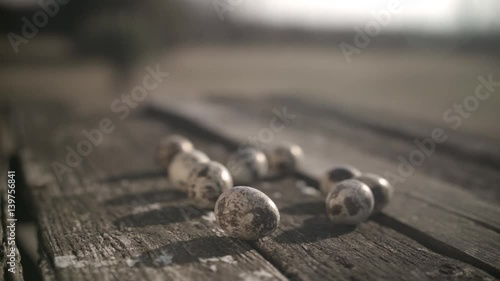 Wallpaper Mural Quail eggs on wooden background in nature.Shot,video  Torontodigital.ca