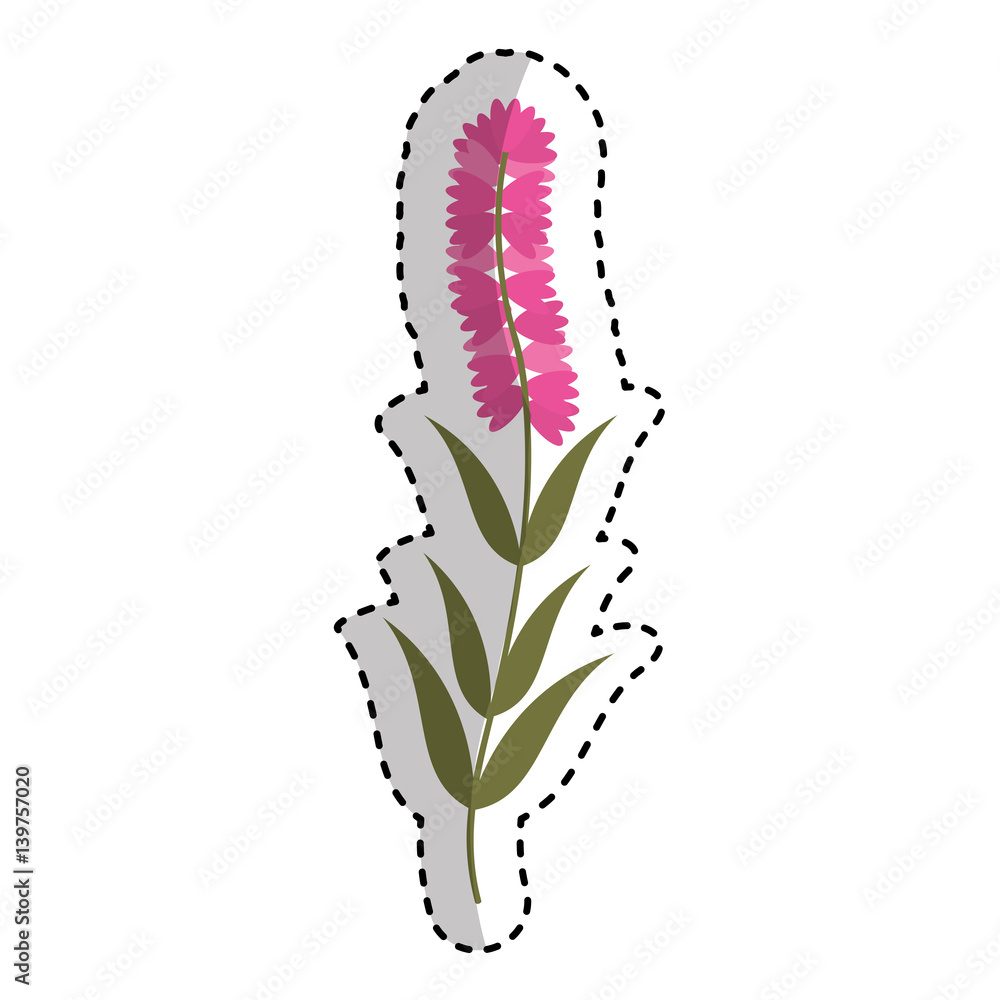 cute flower carden isolated icon vector illustration design