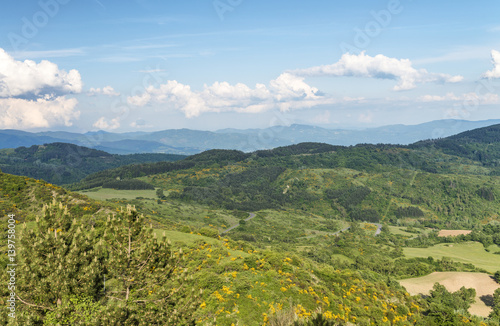 Beautiful landscape and hills in Tuscany, Italy © jovannig