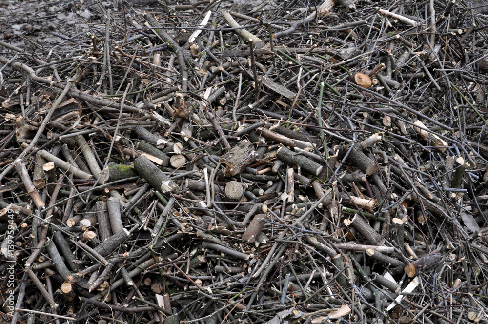 The crushed cut branches of trees and shrubs used as a cost cheaper fuel for boilers The crushed cut branches of trees and shrubs used as a cost cheaper fuel for boilers