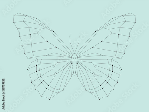 Geometric linear butterfly. Vector illustration