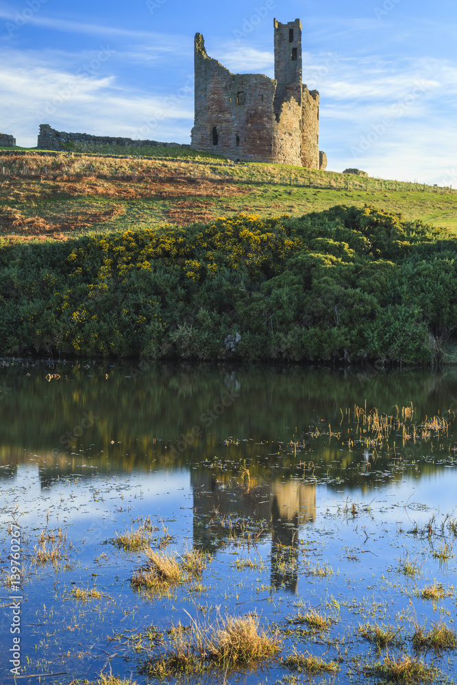 Dunstanburgh Castle, Northumberland, with reflections in pond.