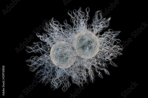 Neisseria gonorrhoeae diplococci bacteria responsible for the sexually transmitted infection gonorrhea 3D Illustration
 photo